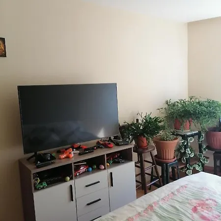 Iglika-1 * Złote Piaski